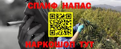 бошки Кинель