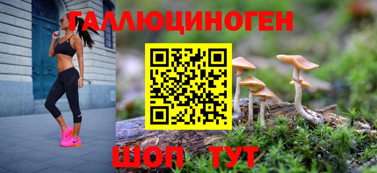 Галлюциногенные грибы Psilocybine cubensis  Вход с VPN  Жуковский 