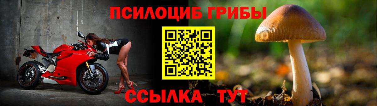 Галлюциногенные грибы Psilocybe Жуковский